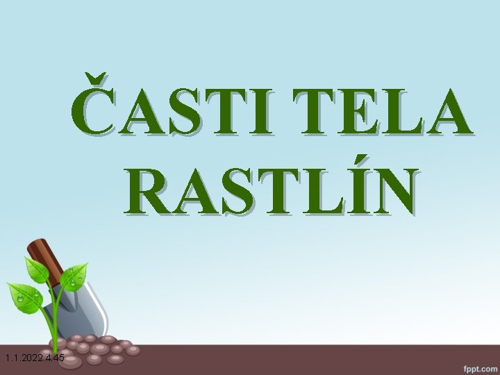 ČASTI TELA RASTLÍN 1. 1. 2022 4: 45 