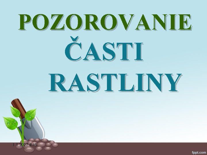 POZOROVANIE ČASTI RASTLINY 1. 1. 2022 4: 45 