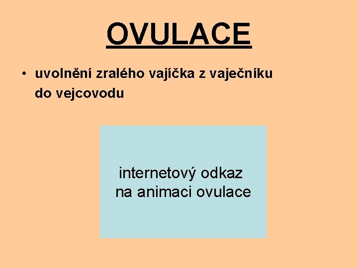 OVULACE • uvolnění zralého vajíčka z vaječníku do vejcovodu internetový odkaz na animaci ovulace