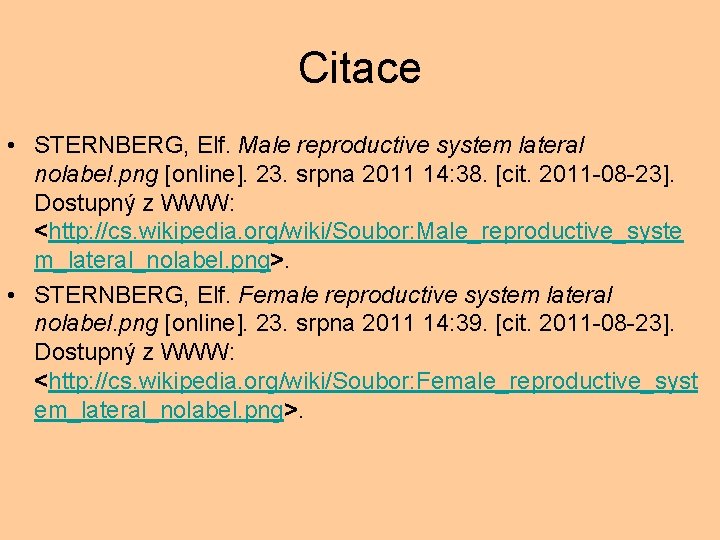 Citace • STERNBERG, Elf. Male reproductive system lateral nolabel. png [online]. 23. srpna 2011