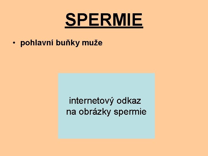 SPERMIE • pohlavní buňky muže internetový odkaz na obrázky spermie 