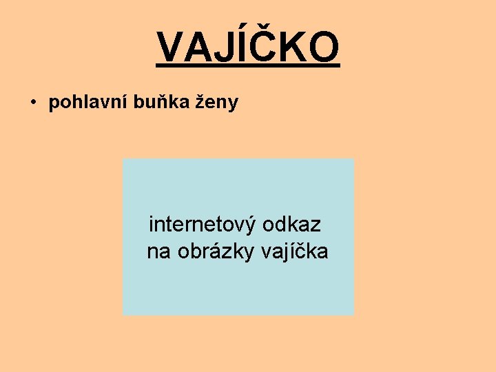 VAJÍČKO • pohlavní buňka ženy internetový odkaz na obrázky vajíčka 