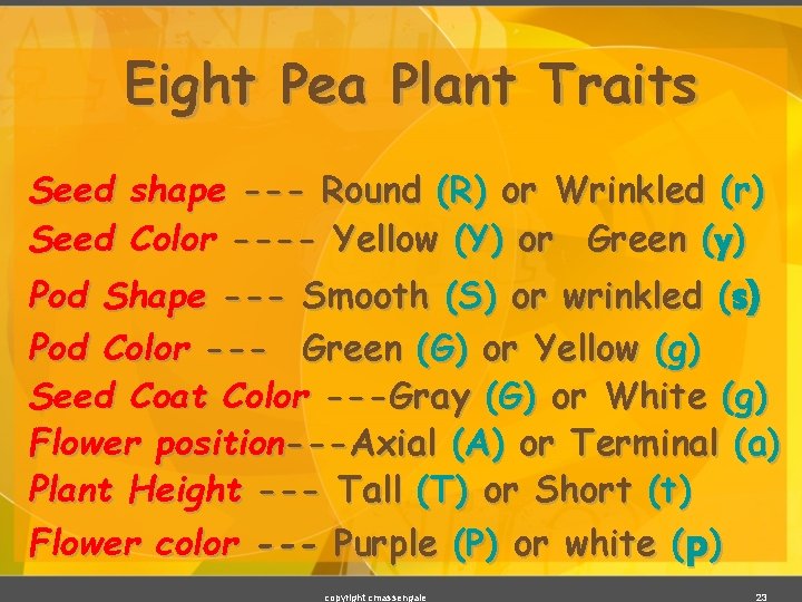 Eight Pea Plant Traits Seed shape --- Round (R) or Wrinkled (r) Seed Color