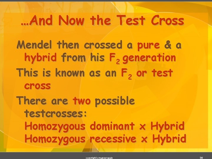 …And Now the Test Cross Mendel then crossed a pure & a hybrid from