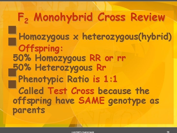 F 2 Monohybrid Cross Review §§ §§ Homozygous x heterozygous(hybrid) Offspring: 50% Homozygous RR