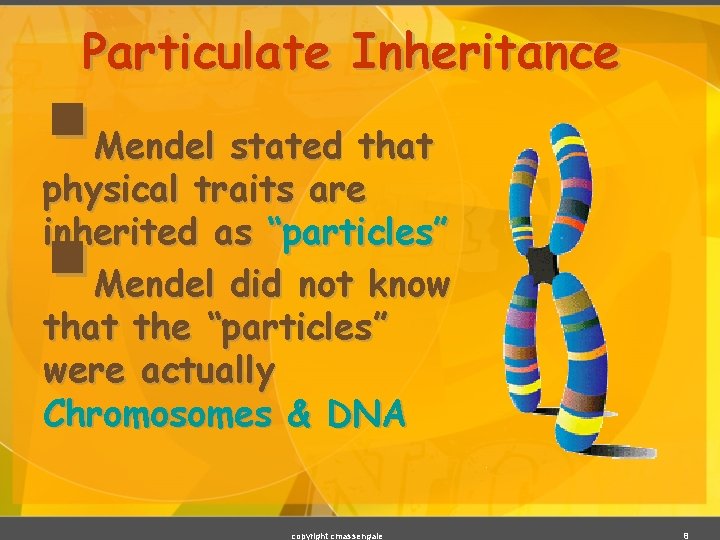 Particulate Inheritance § § Mendel stated that physical traits are inherited as “particles” Mendel