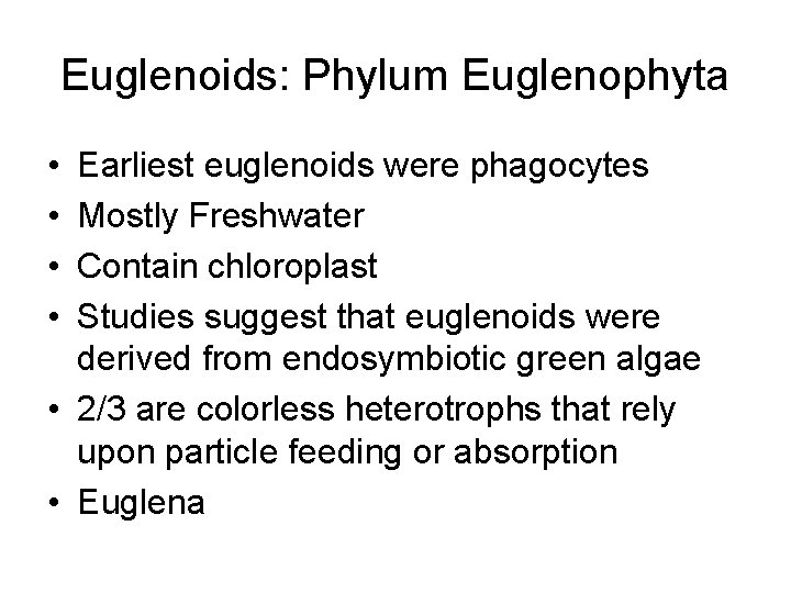 Euglenoids: Phylum Euglenophyta • • Earliest euglenoids were phagocytes Mostly Freshwater Contain chloroplast Studies