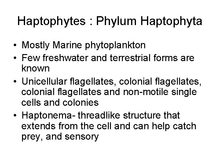 Haptophytes : Phylum Haptophyta • Mostly Marine phytoplankton • Few freshwater and terrestrial forms