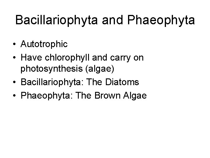 Bacillariophyta and Phaeophyta • Autotrophic • Have chlorophyll and carry on photosynthesis (algae) •