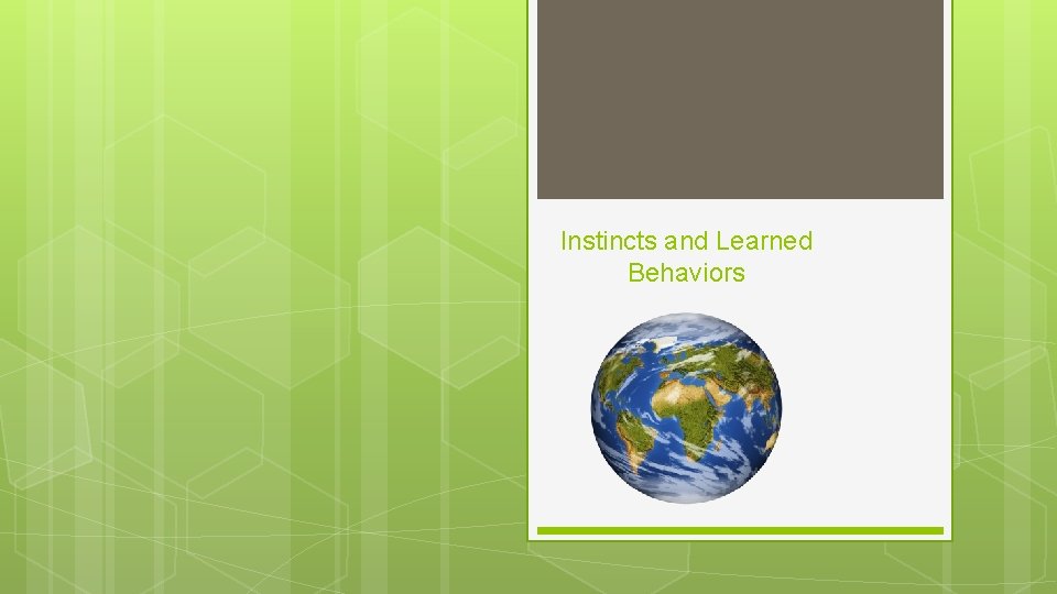 Instincts and Learned Behaviors 