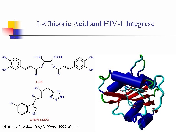 L-Chicoric Acid and HIV-1 Integrase Healy et al. , J Mol. Graph. Model. 2009,