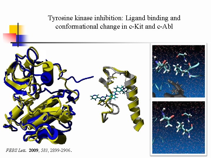 Tyrosine kinase inhibition: Ligand binding and conformational change in c-Kit and c-Abl FEBS Lett.