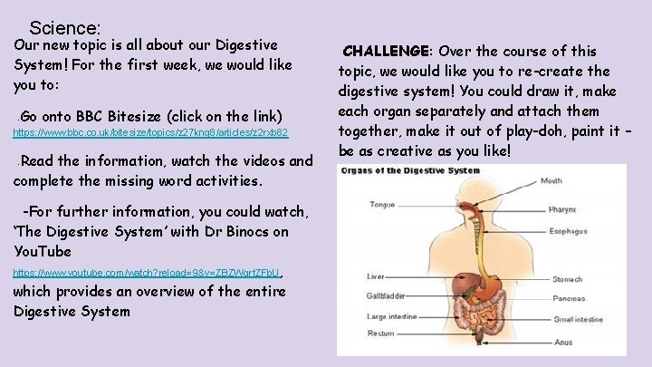 Science: Our new topic is all about our Digestive System! For the first week,