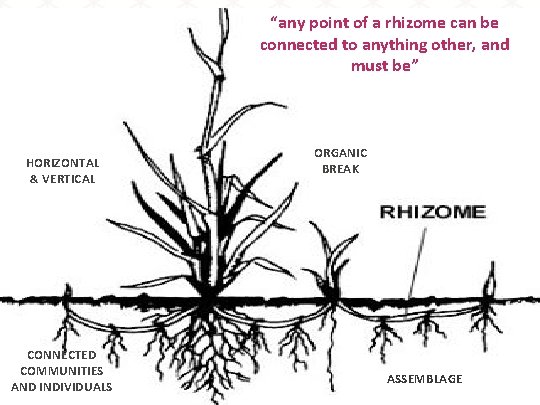 “any point of a rhizome can be connected to anything other, and must be”