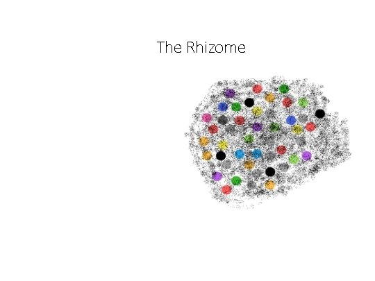 The Rhizome 
