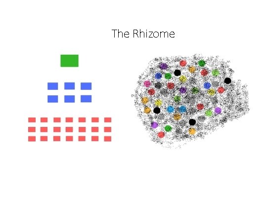 The Rhizome 