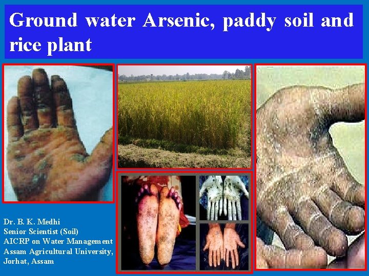 Ground water Arsenic, paddy soil and rice plant Dr. B. K. Medhi Senior Scientist
