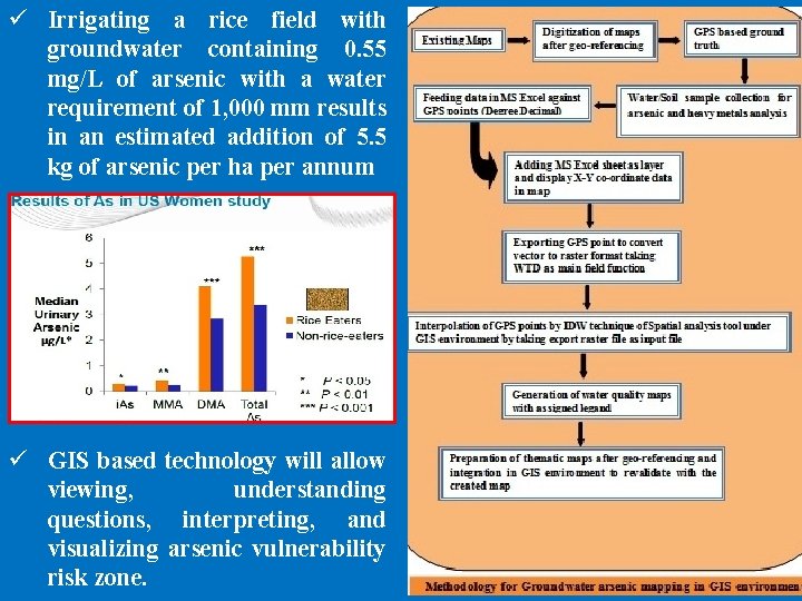 ü Irrigating a rice field with groundwater containing 0. 55 mg/L of arsenic with