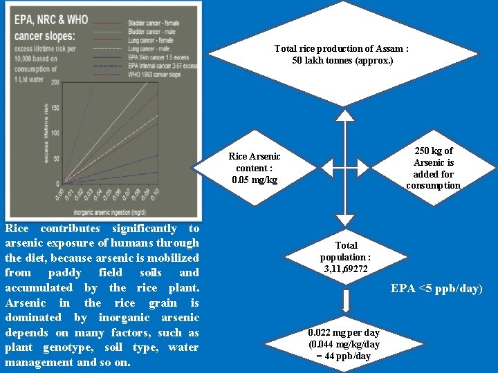 Total rice production of Assam : 50 lakh tonnes (approx. ) 250 kg of