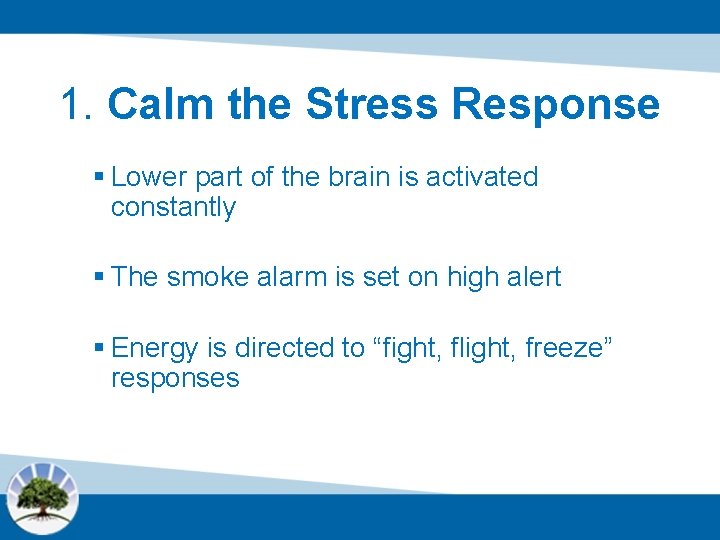 1. Calm the Stress Response § Lower part of the brain is activated constantly