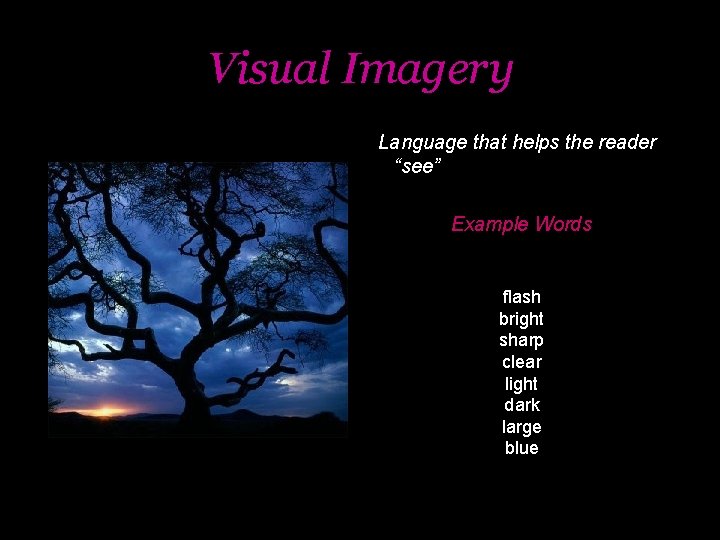 Visual Imagery Language that helps the reader “see” Example Words flash bright sharp clear