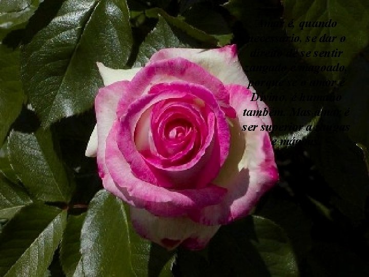 Amar é, quando necessário, se dar o direito de se sentir zangado e magoado,