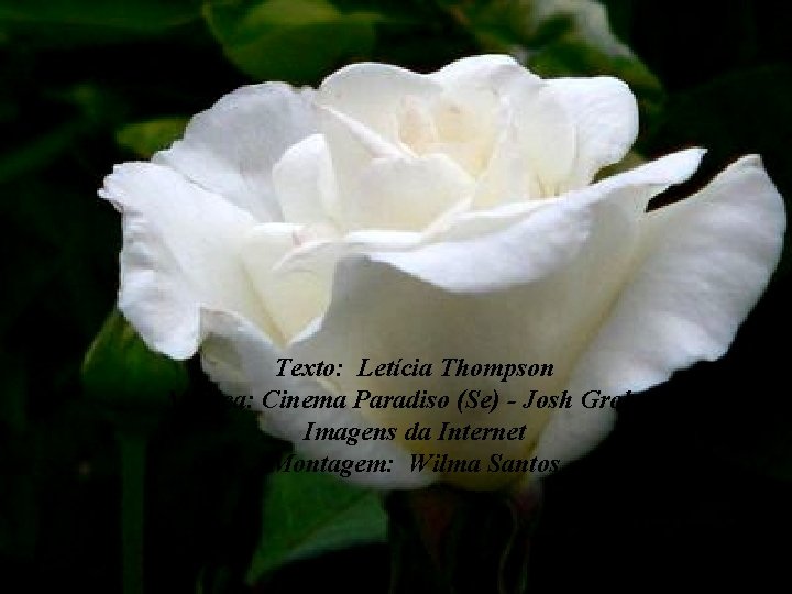 Texto: Letícia Thompson Música: Cinema Paradiso (Se) - Josh Groban Imagens da Internet Montagem: