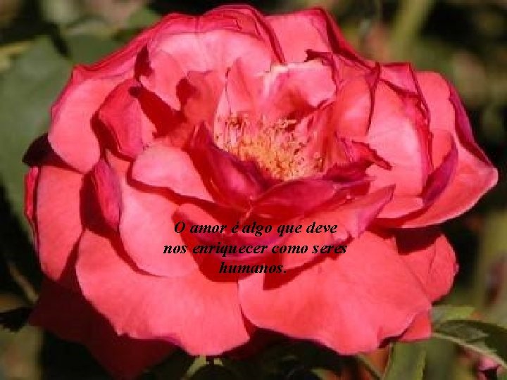 O amor é algo que deve nos enriquecer como seres humanos. 