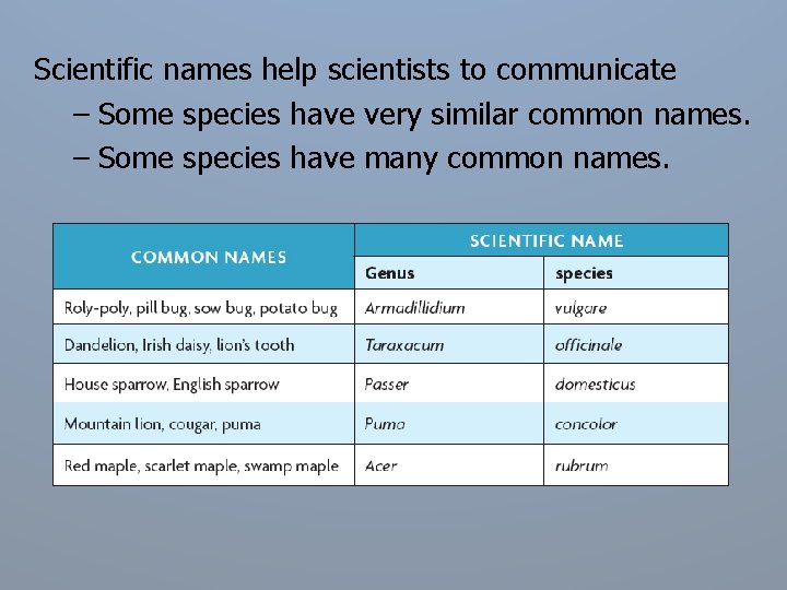 Scientific names help scientists to communicate – Some species have very similar common names.