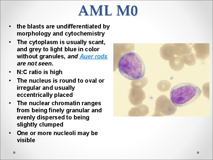 AML M 0 • the blasts are undifferentiated by morphology and cytochemistry • The