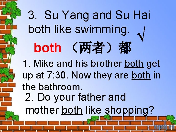 3. Su Yang and Su Hai both like swimming. both （两者）都 √ 1. Mike