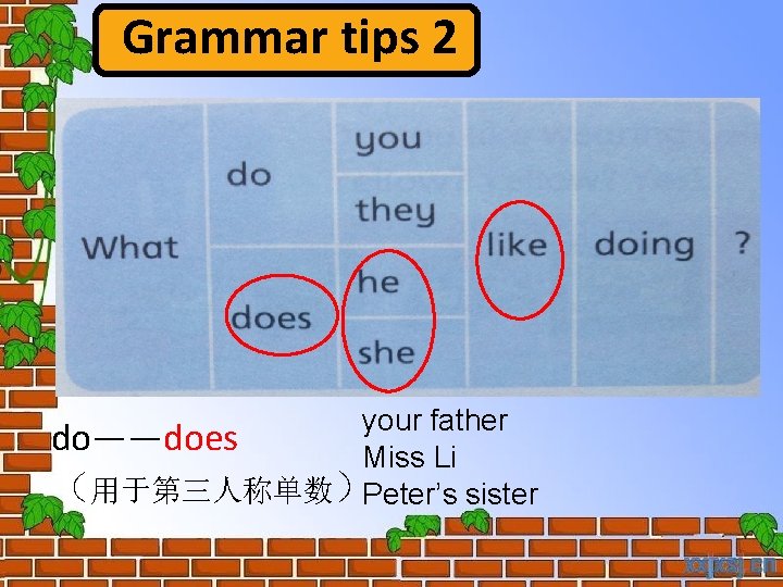 Grammar tips 2 your father do——does Miss Li （用于第三人称单数）Peter’s sister 