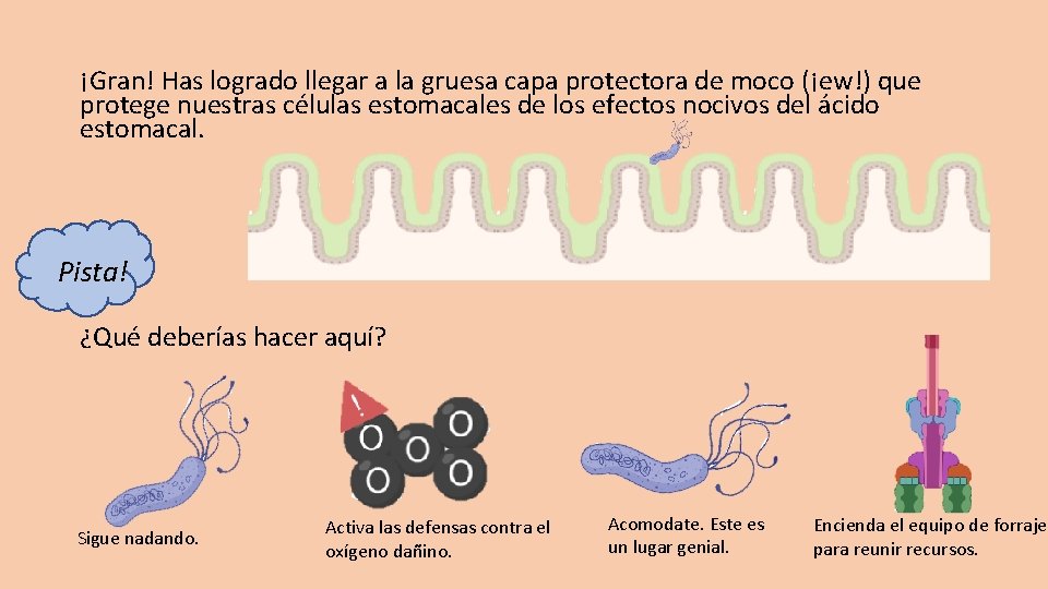 ¡Gran! Has logrado llegar a la gruesa capa protectora de moco (¡ew!) que protege