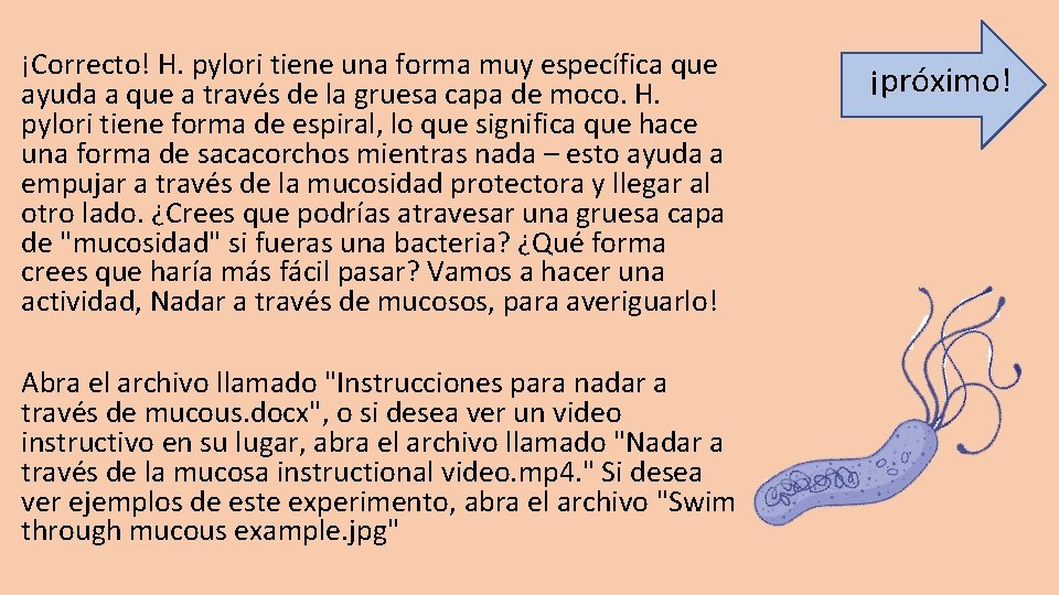 ¡Correcto! H. pylori tiene una forma muy específica que ayuda a que a través