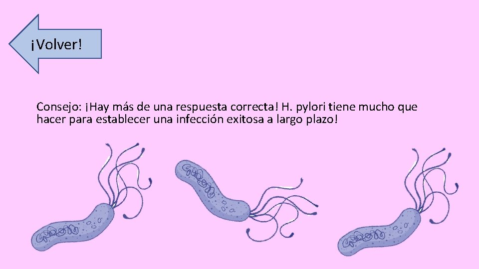 ¡Volver! Consejo: ¡Hay más de una respuesta correcta! H. pylori tiene mucho que hacer