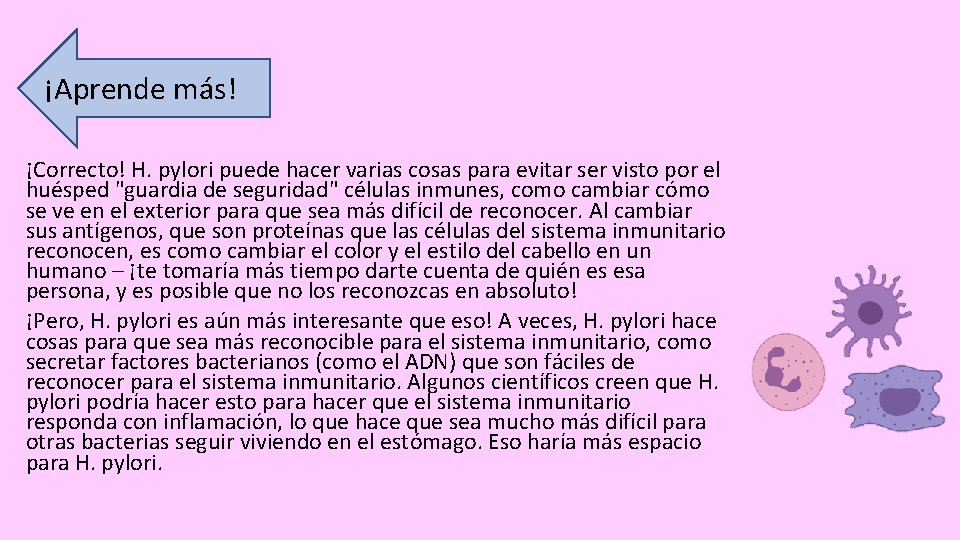 ¡Aprende más! ¡Correcto! H. pylori puede hacer varias cosas para evitar ser visto por