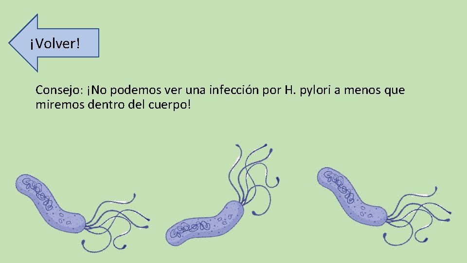 ¡Volver! Consejo: ¡No podemos ver una infección por H. pylori a menos que miremos