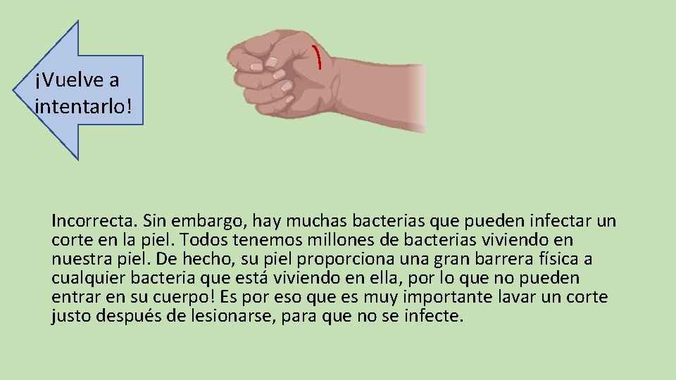 ¡Vuelve a intentarlo! Incorrecta. Sin embargo, hay muchas bacterias que pueden infectar un corte