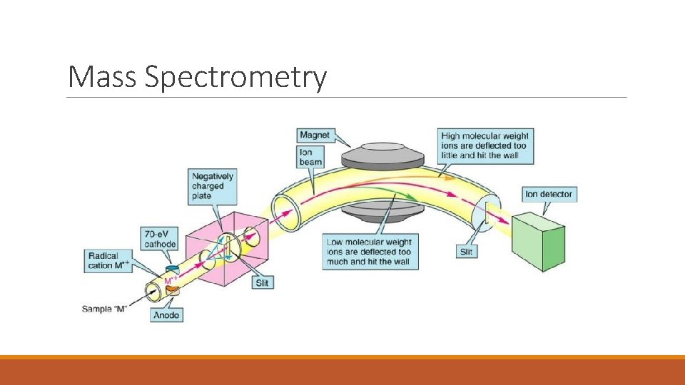 Mass Spectrometry 