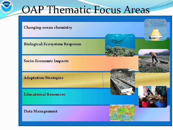 OAP Thematic Focus Areas Changing ocean chemistry Biological/Ecosystem Response Socio-Economic Impacts Adaptation Strategies Educational