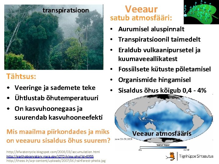 transpiratsioon Tähtsus: • Veeringe ja sademete teke • Ühtlustab õhutemperatuuri • On kasvuhoonegaas ja