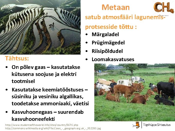 Metaan satub atmosfääri lagunemisprotsesside tõttu : Tähtsus: • • Märgaladel Prügimägedel Riisipõldudel Loomakasvatuses •