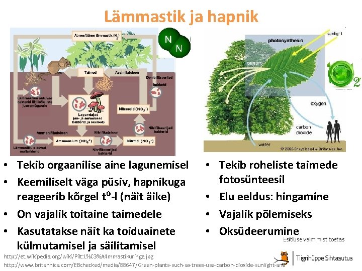 Lämmastik ja hapnik • Tekib orgaanilise aine lagunemisel • Keemiliselt väga püsiv, hapnikuga reageerib