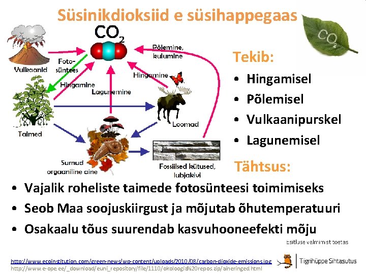 Süsinikdioksiid e süsihappegaas Tekib: • • Hingamisel Põlemisel Vulkaanipurskel Lagunemisel Tähtsus: • Vajalik roheliste