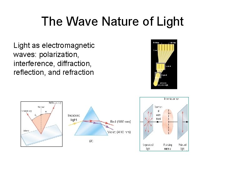 The Wave Nature of Light as electromagnetic waves: polarization, interference, diffraction, reflection, and refraction