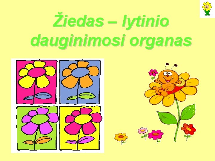 Žiedas – lytinio dauginimosi organas 