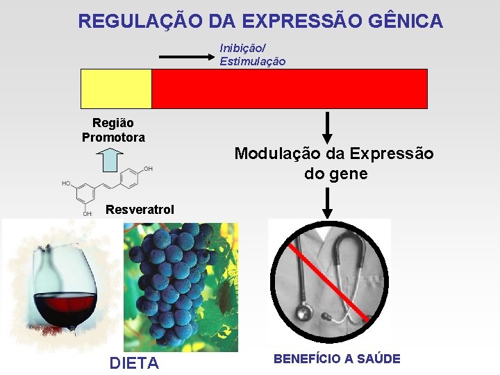 REGULAÇÃO DA EXPRESSÃO GÊNICA Inibição/ Estimulação Região Promotora Modulação da Expressão do gene Resveratrol