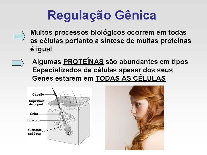 Regulação Gênica Muitos processos biológicos ocorrem em todas as células portanto a síntese de