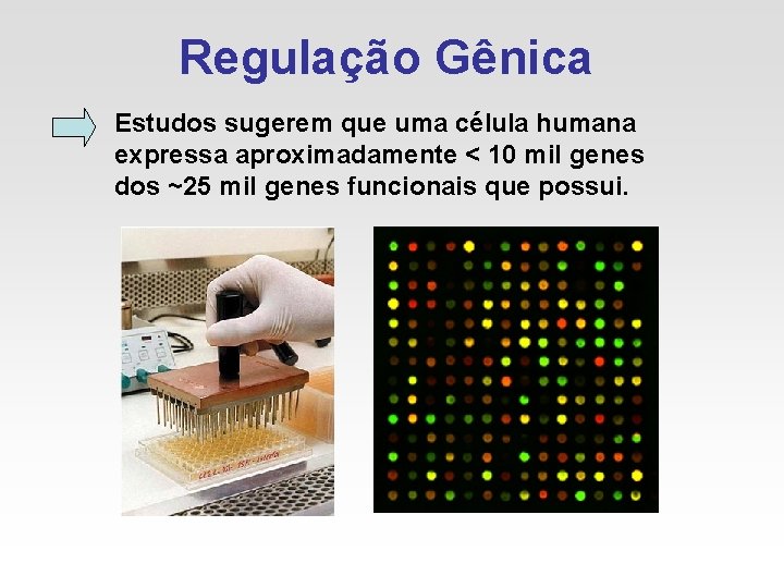 Regulação Gênica Estudos sugerem que uma célula humana expressa aproximadamente < 10 mil genes