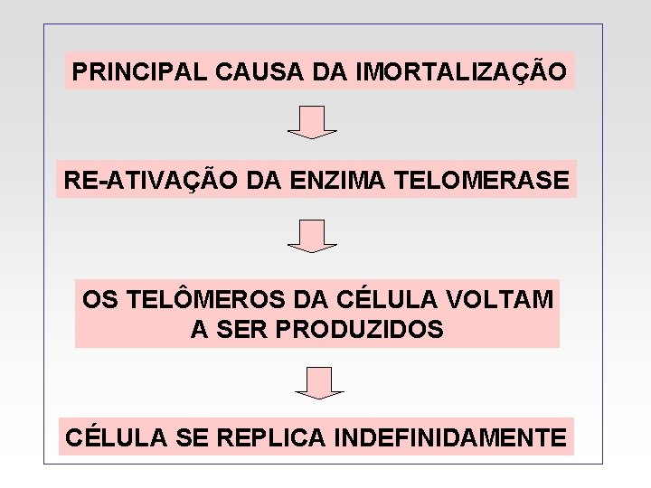 PRINCIPAL CAUSA DA IMORTALIZAÇÃO RE-ATIVAÇÃO DA ENZIMA TELOMERASE OS TELÔMEROS DA CÉLULA VOLTAM A